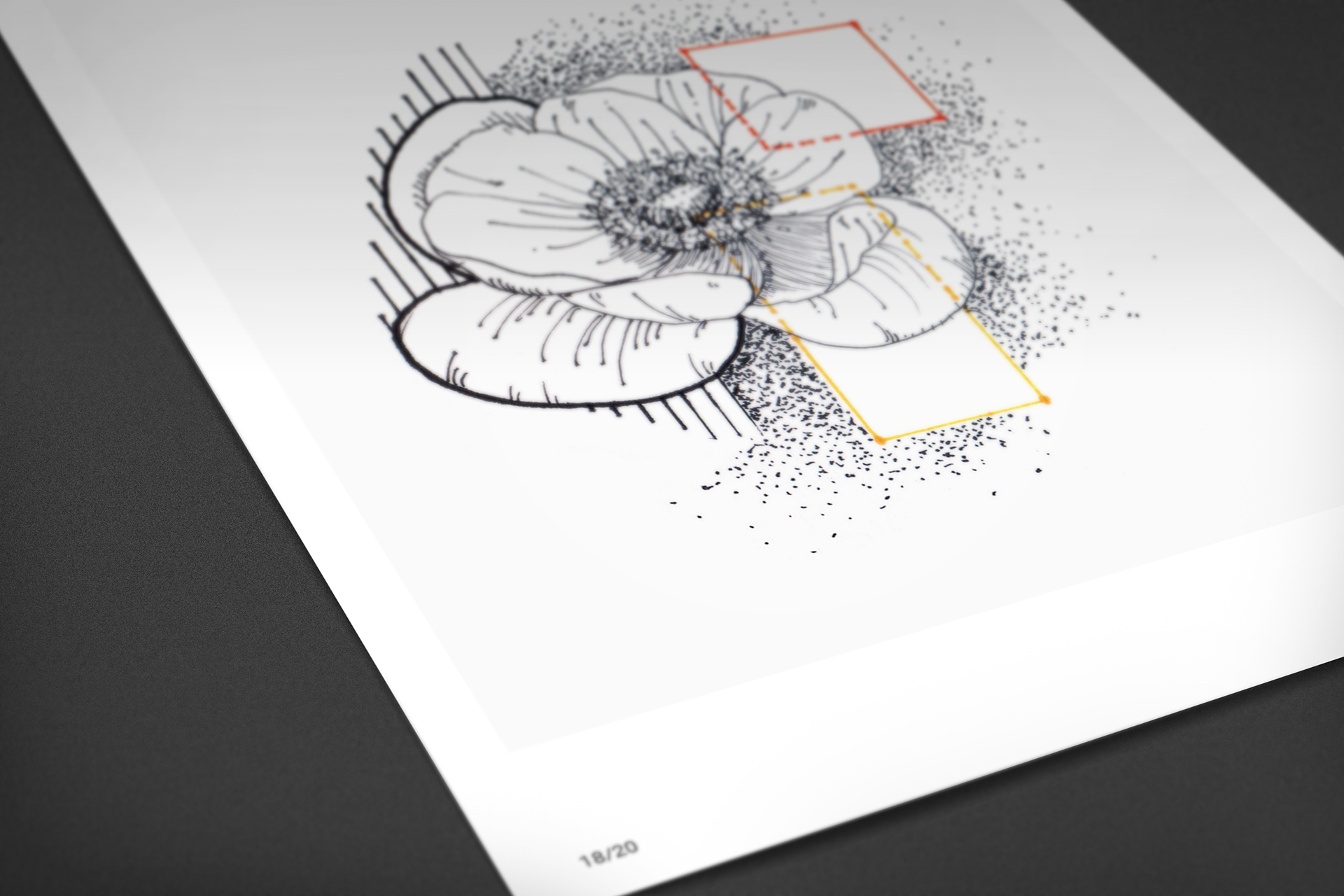 flowers and lines p1